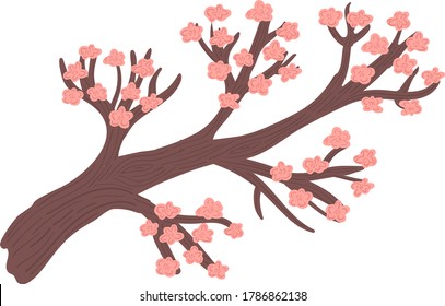 Decorative pink sakura tree concept, oriental cherry blossom, asian style wooden isolated on white, cartoon vector illustration. Design outdoor japanese forest, woodland branch sapling.