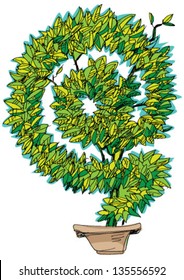 decorative plant - cartoon