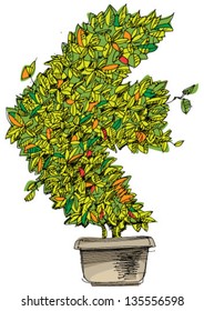 decorative plant - cartoon