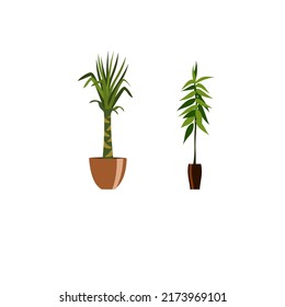 Decoración de plantas para el interior. vector plano