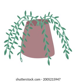 decorative plant home decoration isolated