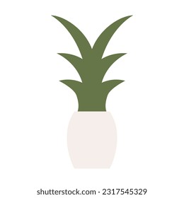 decorative plant item bedroom design illustration