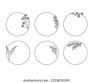 decorative plant and leaf frame illustration