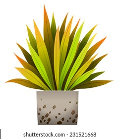 A decorative plant on a white background 