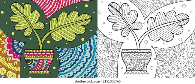 Decorative plant pots coloring book page illustration for adults art drawing relaxing 