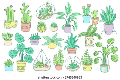 Decorative plant, potted ceramic big line set. Color linear flat cartoon house indoor flower. Succulents house plants, cactus collection, monstera, aloe flowerpot. Isolated vector illustration