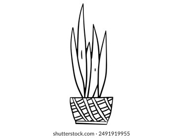 Decorative plant in a wicker basket pot hand drawn outline vector illustration. Isolated on white background