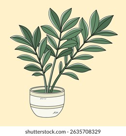 Decorative plant Zamioculcas zamiifolia. Indoor ZZ plant vector illustration