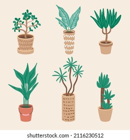 Plantas decorativas en grandes ollas