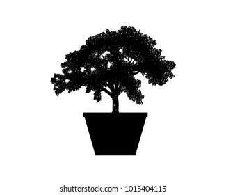 Decorative Plants - Black Bonsai with Pot Illustration Silhouette Logo Symbol Vector