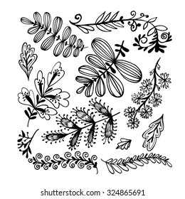 Decorative plants and flowers collection. Fantastic plants. Hand drawn vintage vector design elements. Set of hand drawn branches. Ink illustration.