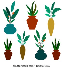 decorative plants and flowers collection vector illustration. artificial plants isolated on white background