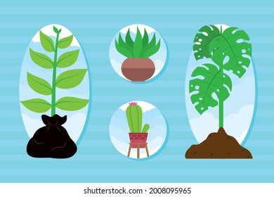 decorative plants and garden set
