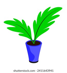 decorative plants growth in blue vas