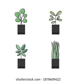 Decorative plants for indoor and outdoor spaces. Vector design