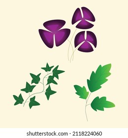 decorative plants leaves collection vector design elements