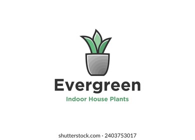 Decorative plants in pots to cool the interior of the house