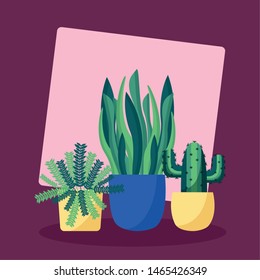 decorative plants in pots leaves interior background vector illustration