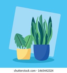 decorative plants in pots leaves interior background vector illustration