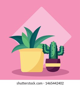 decorative plants in pots leaves interior background vector illustration