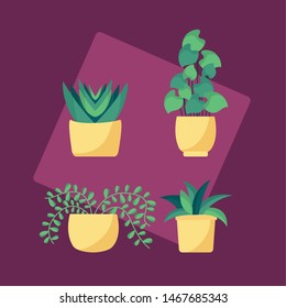 decorative plants in pots leaves interior background vector illustration