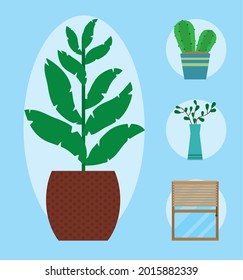 macetas decorativas de plantas y ventana