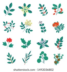 Decorative plants set vector branches