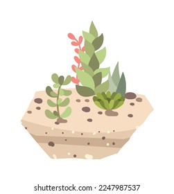 Plantas decorativas en ícono plano del suelo Planta doméstica. Ilustración del vector