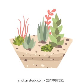 Decorative plants in soil flat icon Houseplant. Vector illustration