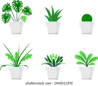 Decorative plants with vector files