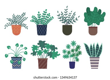 Decorative plants vector, isolated icons set, potted flowers with foliage of different shape and type. Botanical home decor, herbal plantation vegetation