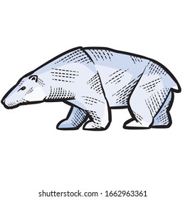 oso polar decorativo pintado con motivos para el logotipo, etiqueta, embalaje, tatuaje, objeto aislado sobre fondo blanco,