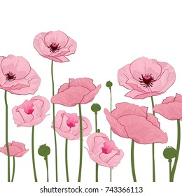 Decorative poppy field background
