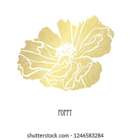 Decorative poppy flower, design element. Can be used for cards, invitations, banners, posters, print design. Golden flowers