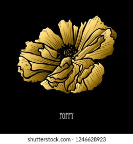 Decorative poppy flower, design element. Can be used for cards, invitations, banners, posters, print design. Golden flowers
