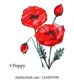 Decorative poppy flowers, design elements. Can be used for cards, invitations, banners, posters, print design. Floral background in watercolor style
