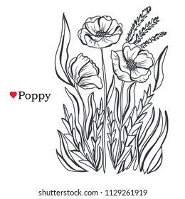 Decorative poppy flowers, design elements. Can be used for cards, invitations, banners, posters, print design. Floral background in line art style