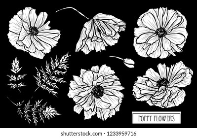 Decorative poppy flowers set, design elements. Can be used for cards, invitations, banners, posters, print design. Floral background in line art style