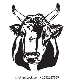 Decorative portrait of bull portrait vector illustration in black color isolated on white background. Engraving template image for label, logo, design, packaging, print and tattoo.