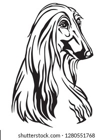 Decorative portrait of Dog Afghan Hound, vector isolated illustration in black color on white background. Image for design and tattoo. 