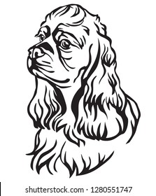 Decorative portrait of Dog American Cocker Spaniel, vector isolated illustration in black color on white background. Image for design and tattoo. 