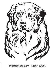 Decorative portrait of dog Australian shepherd, vector isolated illustration in black color on white background