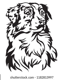 Decorative portrait of dog Australian shepherd, vector isolated illustration in black color on white background