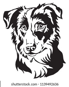 Decorative portrait of dog Border Collie, vector isolated illustration in black color on white background