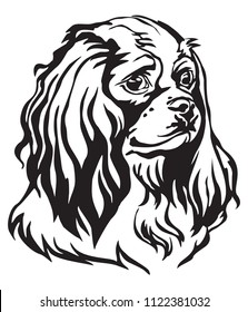 Decorative portrait of Dog Cavalier King Charles Spaniel, vector isolated illustration in black color on white background. Image for design and tattoo. 