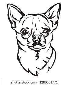 Decorative portrait of Dog Chihuahua, vector isolated illustration in black color on white background. Image for design and tattoo. 