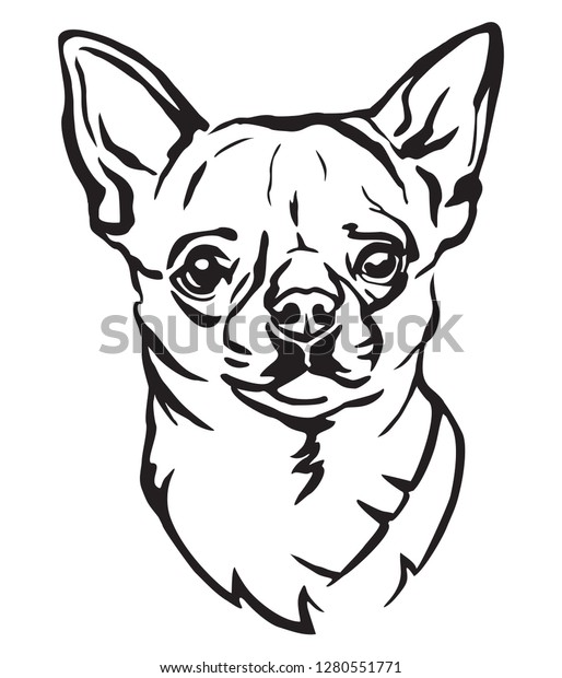 Decorative Portrait Dog Chihuahua Vector Isolated Stock Vector Royalty Free