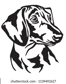 Decorative portrait of dog Dachshund, vector isolated illustration in black color on white background