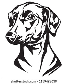 Decorative portrait of dog German Pinscher, vector isolated illustration in black color on white background