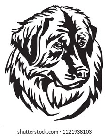 Decorative portrait of Dog Leonberger, vector isolated illustration in black color on white background. Image for design and tattoo. 